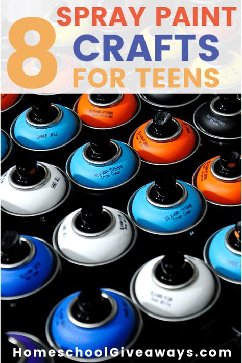 Here are 8 spray paint crafts your teens can try this summer and what to do with all those extra crafty items once they're painted! Painted Wicker Baskets, Spray Paint Crafts, Homeschool Middle School, Paint Crafts, Diy Spray Paint, Spray Paint Colors, Painted Wicker, History Curriculum, Homeschool Encouragement