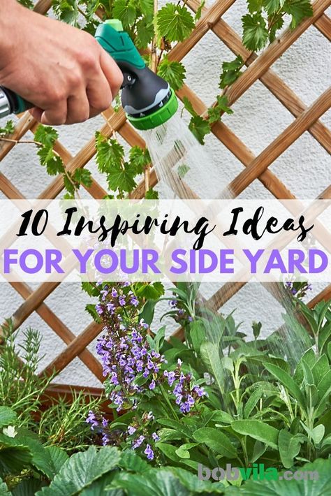 Cheap Side Yard Ideas, Outdoor Side Of House Ideas, Gardening Side Of House, Front Side Garden Ideas, Sitting Garden Ideas Side Yards, Side Wall Garden Ideas, What To Plant Along Side Of House, West Side Of House Landscaping Ideas, What To Do With Side Yard