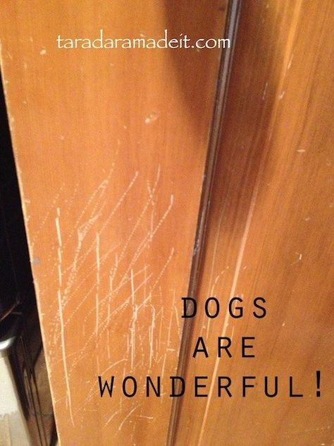 Homes with dogs, kids, or even just aging cabinets and wood doors will strongly benefit from this EASY DIY tip!!!! Thoughts of sanding and staining all the door… Repair Scratched Wood, Fix Scratched Wood, Plywood Plank Flooring, Wood Baseboard, Diy Furniture Restoration, Wood Organization, Restore Wood, Scratched Wood, Cabinets Doors