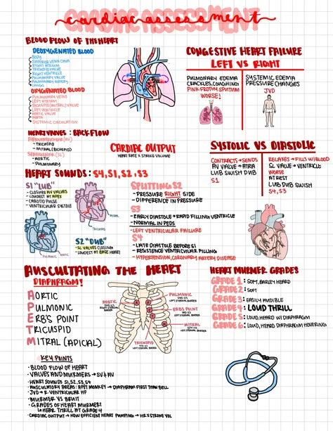 Cardiac Notes Nursing Schools, Anatomy And Physiology Heart Notes, Body Mechanics Nursing, Cardiology Notes Medical, Ekg Study Guide, Cardiothoracic Surgery Notes, Cardiovascular Sonography Student, Surgeon Study Notes, Cardiovascular System Notes Nursing