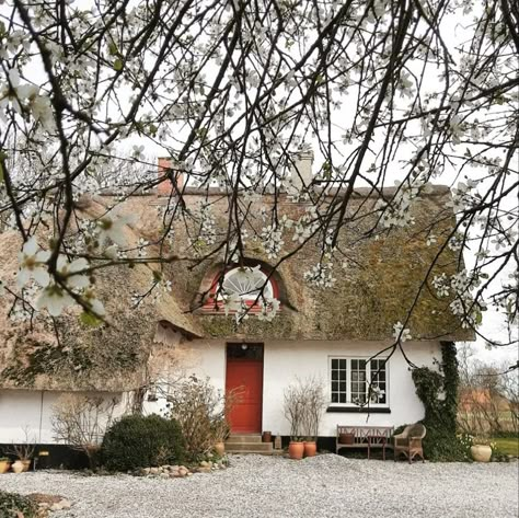 my scandinavian home: The Idyllic Thatched Cottage and Garden of a Danish Artist Danish Cottage Interior, Simple Outhouse, Danish Apartment, Dreamy Cottage, Home Ideas Kitchen, Danish Kitchen, My Scandinavian Home, Scandi Living, Home Drawing