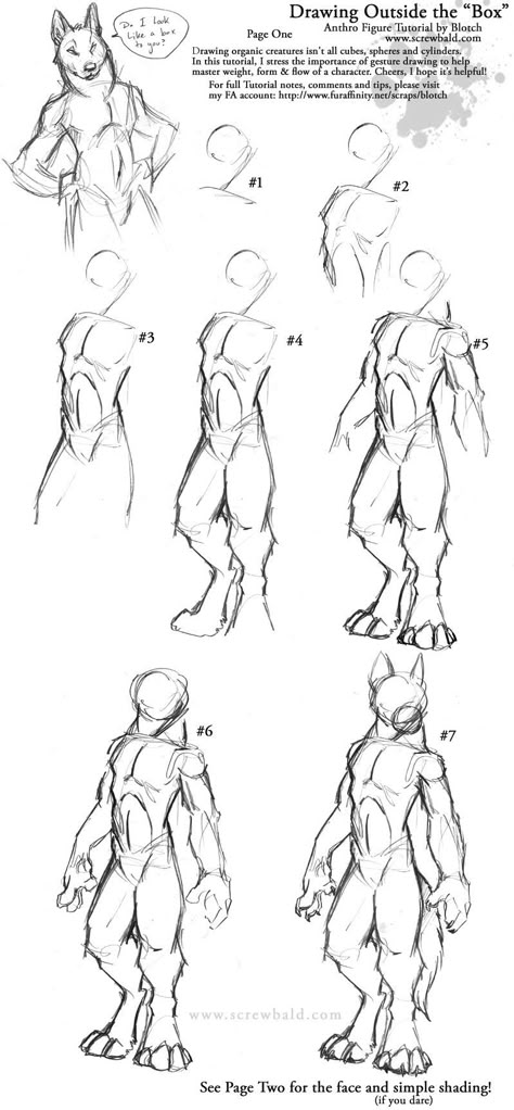 Werewolf Cute Drawing, Wet Fur Reference, How To Draw Anthropomorphic Characters, Protogen Anatomy, Rabbit Legs Drawing, Digitrade Legs Drawing, Anthro Body Reference, Anthro Anatomy Reference, Shower Drawing Reference