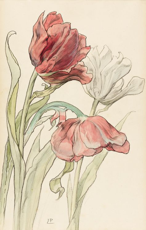 Fleurs Art Nouveau, Tulip Drawing, Illustration Art Nouveau, Art Nouveau Illustration, Tulips Art, Art Nouveau Flowers, Folk Art Flowers, Illustration Botanique, Botanical Drawings