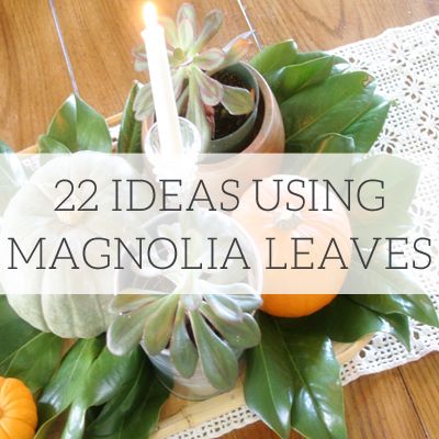 Magnolia Arrangement Simple, Magnolia Leaves Table Decor, Wedding Decor With Magnolia Leaves, Decorate With Magnolia Leaves, Dried Magnolia Leaves Decor, Magnolia Leaves Arrangement, Crafts Using Magnolia Pods, Magnolia Leaves In Floral Arrangements, Magnolia Mantle Decor