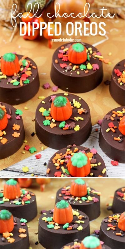 Cake Sicles, Pumpkin Dip Recipe, Thanksgiving Chocolates, Oreo Treats, Postres Halloween, Fall Cake, Themed Treats, Chocolate Dipped Oreos, Dipped Oreos