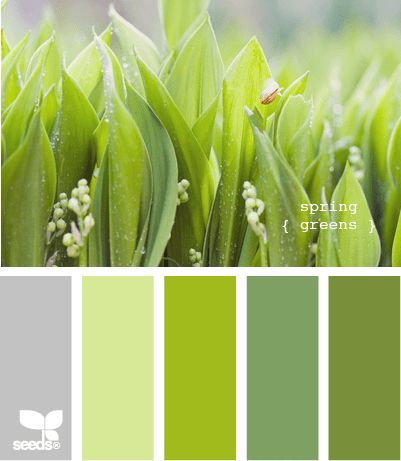 Design Seed, Green Palette, Green And Gray, Design Seeds, Green Design, Spring Green, Colour Schemes, Color Pallets, Color Swatches