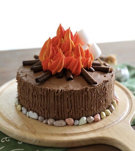 Bonfire Cake, Campfire Birthday, Pedro Pony, Camping Party Decorations, Campfire Cake, Nature Cake, Camping Cakes, Camping Birthday Party, Cake Easy