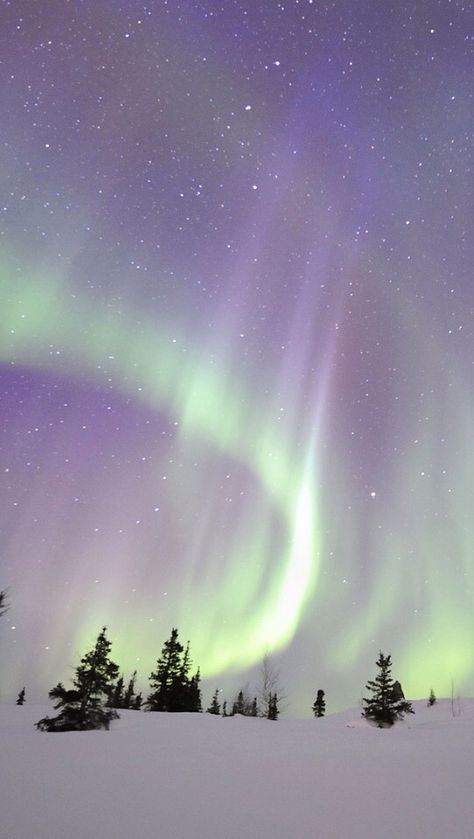 Aurora borealis Northern Aesthetic, Aurora Borealis Canada, North Europe, Northern Lights (aurora Borealis), Aurora Borealis Northern Lights, Belle Nature, Travel Wallpaper, Winter Beauty, The Aurora