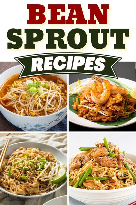 Recipes Using Canned Bean Sprouts, Soup With Bean Sprouts, Fresh Bean Sprout Recipes, Cooking Bean Sprouts, Ramen With Bean Sprouts, Meals With Bean Sprouts, What To Make With Bean Sprouts, Korean Sprouts Recipe, How To Use Sprouts