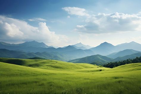 Field grass landscape grassland.  | premium image by rawpixel.com / Boom Environment Photography Landscape, Grass Field Painting, Hill Background, Grass Land, Agriculture Background, Grassy Hill, Grass Landscape, Tea Farm, Environment Painting