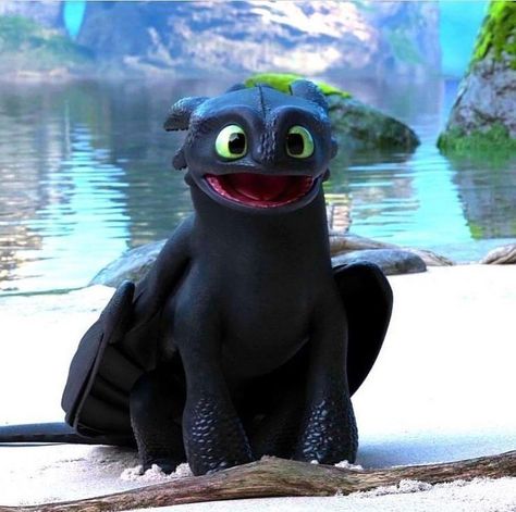 Hiccup Toothless, Night Fury, Hiccup, Toothless, Heroes Of Olympus, Narnia, Daenerys Targaryen, Game Of Thrones