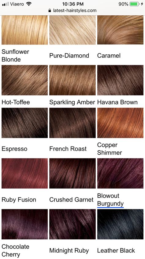 French Roast Hair Color, Colours And Names, French Roast, Hair Colours, Havana Brown, High Life, Black Cherry, Hair Colour, About Hair