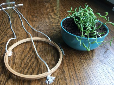 DIY Hanging Succulent Planter Hanging Plants Outdoor, Hanging Plants Diy, Diy Hanging Planter, Modern Plant Stand, Hanging Plants Indoor, Hanging Succulents, Succulents Indoor, Succulent Terrarium, Diy Hanging