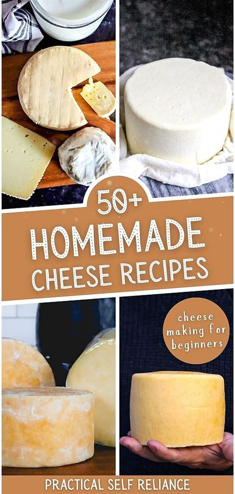 Discover the joy of homemade cheese with our collection of over 50 recipes, perfect for beginners in cheesemaking. From the basics of cheddar to the nuances of colby, these easy-to-follow recipes will guide you through the process, making the art of cheesemaking accessible and enjoyable. Find more easy whole food recipes, DIY homestead projects, and homestead survival at practicalselfreliance.com. Sharp Cheese Recipes, Diy Parmesan Cheese, Make Cheese From Milk, Make Your Own Mozzarella Cheese, Diy Cheese Press, Motzerrela Cheese, Soft Cheese Recipes, How To Make Mozzarella Cheese, Diy Mozzarella Cheese