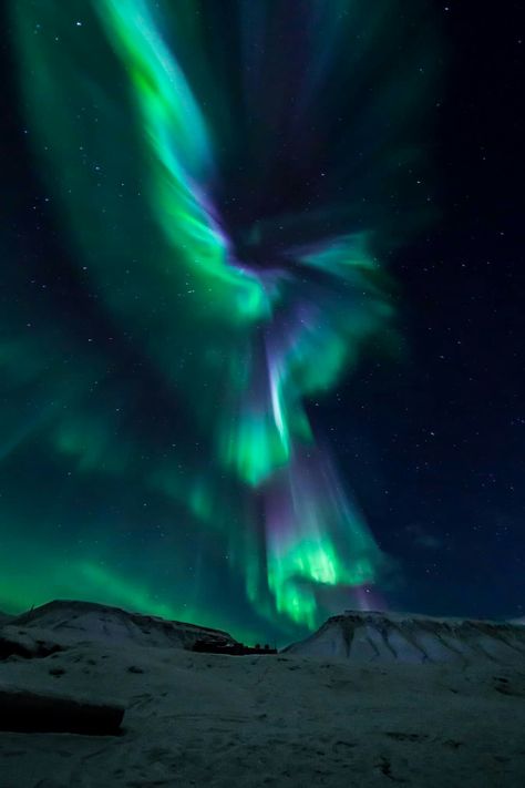 Svalbard Norway, Northern Lights Photography, Whats Wallpaper, Longyearbyen, Pretty Sky, The Night Sky, Travel Goals, Pretty Places, Dream Destinations