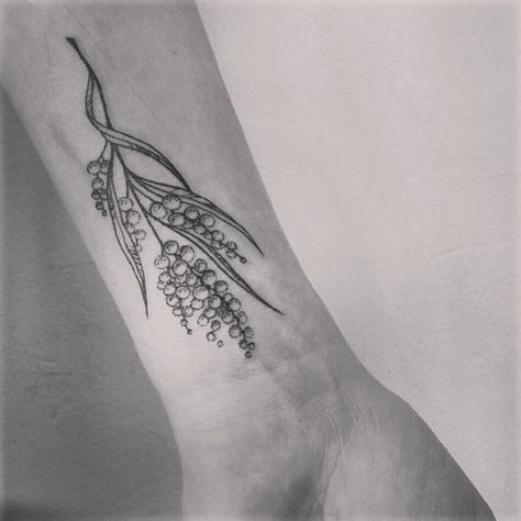 Wattle Tattoo, Northwest Native Plants, Australian Wattle, 2016 Tattoo, Aboriginal Tattoo, Plants Tattoo, Thistle Tattoo, Australian Tattoo, Native Tattoos