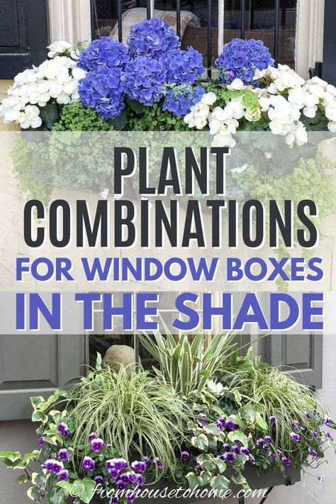 Window box ideas for shade Impatiens Plant, Flower Combinations, Window Box Plants, Window Box Garden, House To Home, Cascading Flowers, Window Box Flowers, Window Planters, Design Window