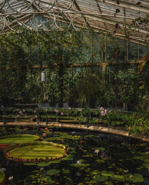 Step into the herbology classroom 🍃 A little piece of serenity just 30 minutes from central London that houses the largest and most diverse botanical and mycological collections in the world 🌱 Welcome to the wonderful Kew Gardens, which just so happens to look exactly like the herbology greenhouses of Hogwarts (especially Hogwarts legacy in my opinion!) The gardens are absolutely huge and you can easily spend an entire day enjoying them - there’s so much more to see than the greenhouses... Herbology Classroom, Hogwarts Classroom, Hogwarts Legacy, Kew Gardens, Central London, Greenhouses, 30 Minutes, Hogwarts, Travel Inspiration