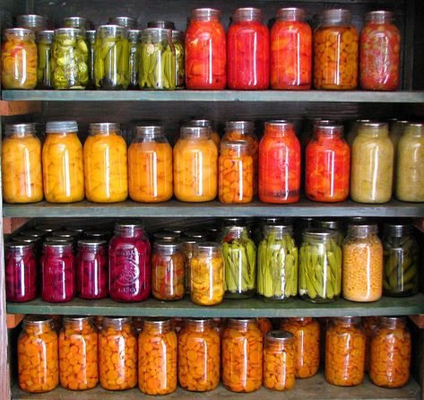 Canning is beautiful! Low Acid Recipes, Canning Food Preservation, Canned Food Storage, Canning Tips, Water Bath Canning, Home Canning, Pressure Canning, Sauce Tomate, Survival Food