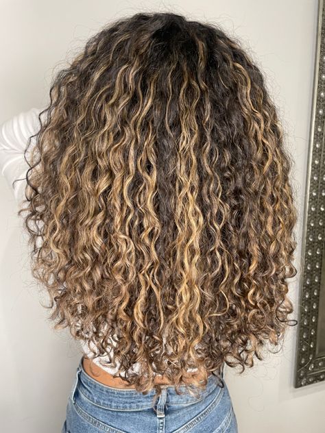 Blonde Curly Hair With Money Piece, Ashy Beige Highlights On Curly Hair, Blonde Hair Inspiration Curly, Curly Hair Highlights With Money Piece, Curly Dark Brown Hair With Highlights Low Lights, Peak A Boo Highlights Curly Hair, Highlights On Curly Dark Brown Hair, Color Hair Ideas For Curly Hair, Blond Highlights On Black Hair Curly Girl