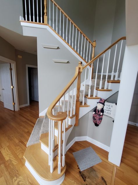 Painting an outdated staircase is an excellent way to modernize your living space. This article discusses the best paint colors for staircase railings and spindles. Railing Paint Ideas, Painted Stair Railings, Petunia Care, Paint Stained Wood, Black Stair Railing, Staircase Spindles, Staircase Layout, Stair Renovation, White Staircase