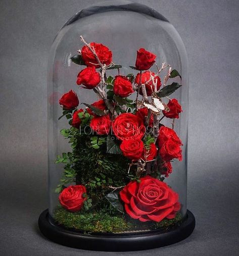 Real Beauty And The Beast Roses Exist, And They'll Last For 3 Years Beauty And Beast Rose, Small Arrangements, Rose London, Valentines Roses, Artificial Orchids, Enchanted Rose, Forever Rose, Flowers Bouquet Gift, Preserved Roses