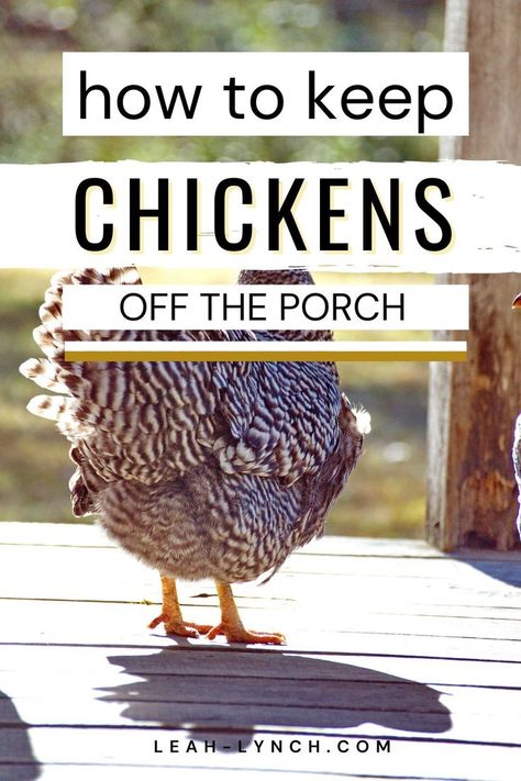 How To Keep Chickens, Keeping Ducks, Chicken Poop, Raising Farm Animals, Backyard Farm, Chicken Health, Raising Backyard Chickens, Health Signs, Keeping Chickens