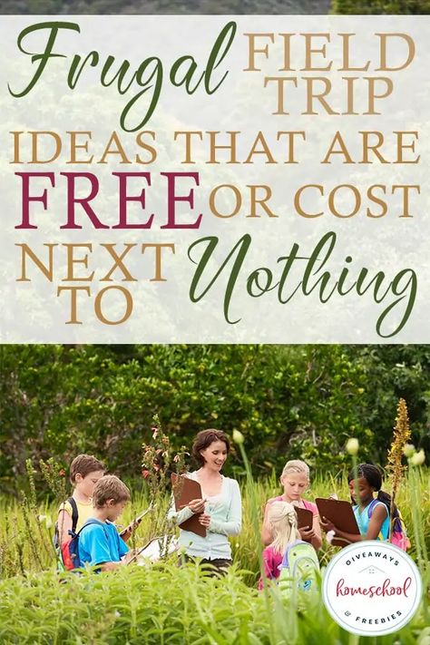 Field Trip Ideas, Nature Lessons, Homeschool Field Trips, Homeschool Freebies, Homeschool Education, How To Start Homeschooling, Homeschool Inspiration, Homeschool Schedule, Homeschool Learning