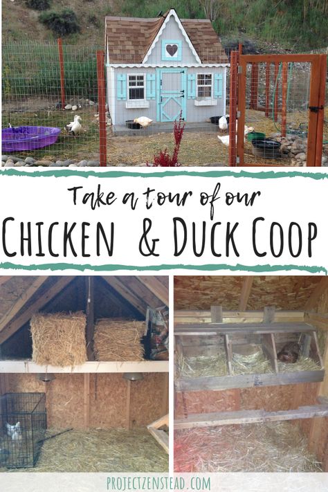 Chicken Duck Coop, Raising Turkeys, Mobile Chicken Coop, Deer Stands, Backyard Ducks, Best Egg Laying Chickens, Duck Coop, Raising Ducks, Portable Chicken Coop