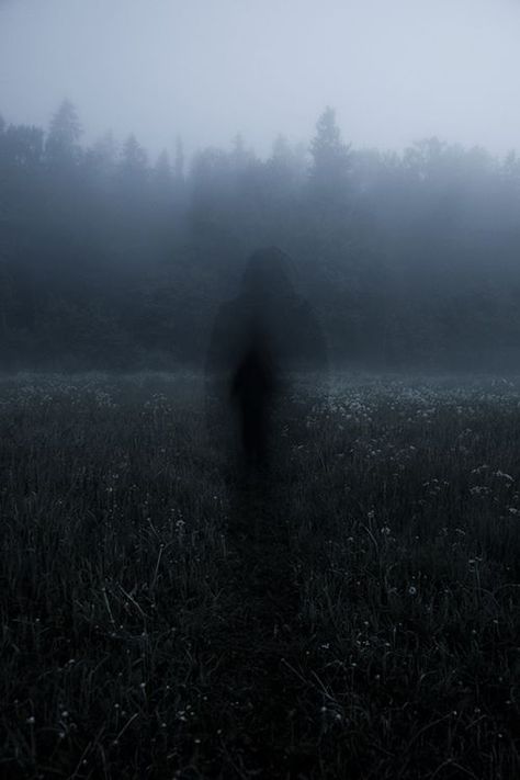 A dark ghostly figure approaches in a misty field...: Haunted Landscape, Foggy Field, Images Terrifiantes, Shadow People, Leo Valdez, Odaiba, Haunted Places, Six Feet Under, Shooting Photo