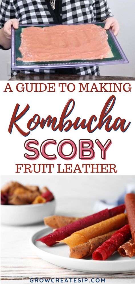 A Guide to Making Kombucha SCOBY Fruit Leather. The word SCOBY, or sometimes called the kombucha mother, is short for "symbiotic culture of bacteria and yeast." SCOBY fruit leather is a fabulous way to use up extra SCOBY’s and make them taste good. Visit the blog to dive into the details and learn how to unlock the potential of your kombucha SCOBY past just brewing your kombucha. How To Make A Scoby, Scoby Recipes, How To Make Scoby, Kombucha Scoby Recipes, Sour Snacks, Diy Gummies, Kombucha Flavors Recipes, Kombucha Mother, Jamaican Drinks