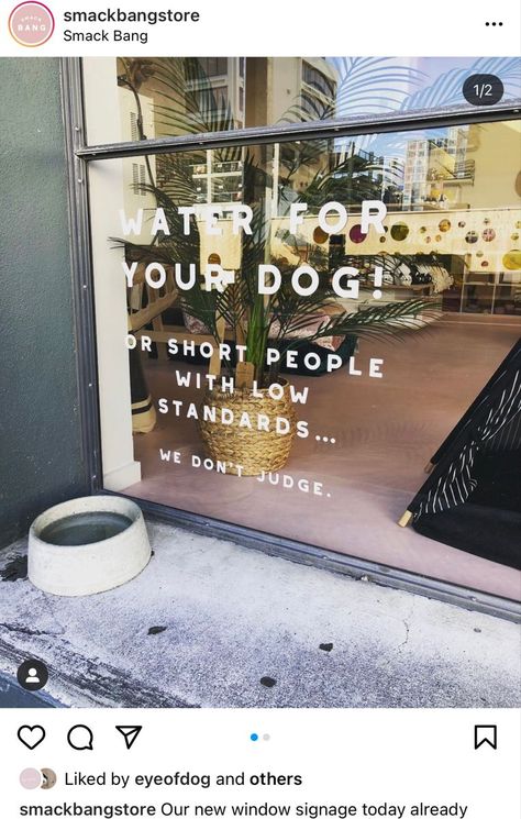 Dog Store Interior Design, Dog Grooming Store Fronts, Dog Grooming Window Display, Small Botique Interiors Ideas Dog, Dog Themed Coffee Shop, Pet Retail Store Design, Dog Bakery Interior Design, Dog Retail Store, Doggie Boutique Ideas