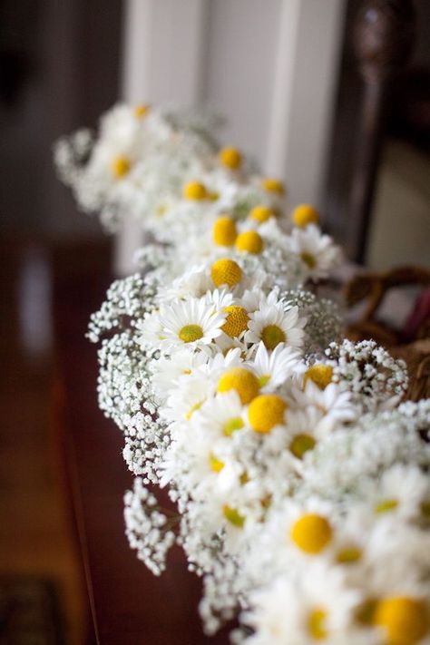 Daisy Wedding Themes | Team Wedding Blog #weddingcake #daisies #teamwedding #weddingideas South Carolina Beach Wedding, Daisy Wedding Theme, Billy Balls, Daisy Wedding, Yellow Wedding, Wedding Aisle, Wedding Flower Arrangements, Baby's Breath, Wedding Themes