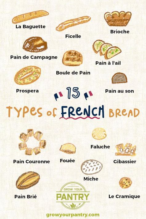 Each type of bread is distinct and tastes different... With a very specific type of look  The expert illustrations designed to help you identify that french loaf!  The article by Susan break down each type of bread to let you know the history, flavour, taste profile and texture  Check it out for more information! France Bread, Types Of Sweets, Bread Varieties, French Breads, Brioche Bread Recipe, French Brioche, Type Of Bread, Bread French, French Loaf