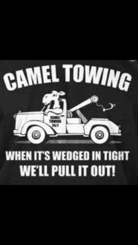 Funny Cartoon Photos, Inappropriate Memes, Towing Company, Sassy Wallpaper, Mom Life Quotes, Jokes Pics, Sarcastic Quotes Funny, Screwed Up, Funny Animal Pictures