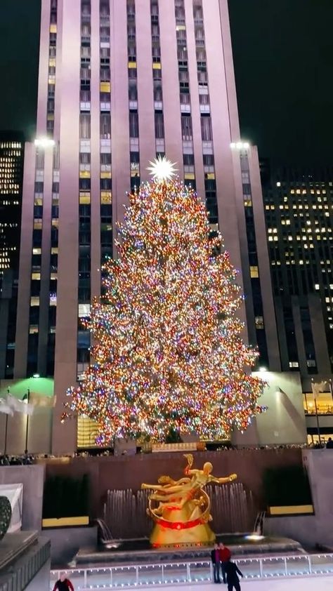 Christmas Tree Nyc, New York Christmas Tree, Christmas Lights Wallpaper, Rockefeller Center Christmas Tree, Rockefeller Center Christmas, Big Christmas Tree, Christmas Tree Wallpaper, Nyc Christmas, Christmas Wallpaper Backgrounds