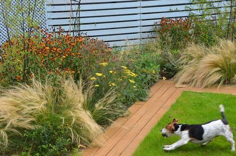 Dog Yard Landscaping, Pet Friendly Backyard, Backyard Dog Area, Small Garden Plans, Small Back Gardens, Dog Friendly Garden, Dog Friendly Backyard, Dog Backyard, Backyard Garden Beds