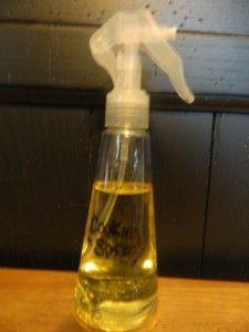 make your own cooking spray Homemade Cooking Spray, Low Fat Chicken Recipes, Pam Spray, Stainless Steel Pan, Olive Oil Spray, Diy Cooking, House Tips, Thrifty Living, Cooking Spray