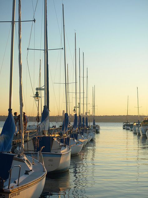 Marina at sunset ~ Lake Union, Seatte, WA Citizen M, Lines Drawing, Leading Lines, Sunset Lake, Lake Union, Evergreen State, Pacific Nw, Emerald City, Puget Sound