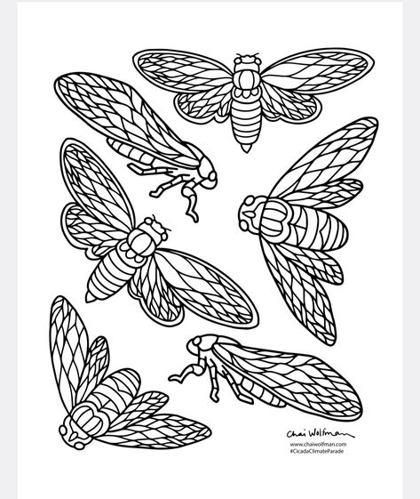 Cicada coloring page Cicada Drawing Tattoo, Cicada Wings Drawing, Cicada Drawing, Cicada Aesthetic, Cicada Embroidery Pattern, Cicada Line Art, Cicada Drawing Illustration, Art Nouveau Cicada, Cicada Stained Glass Pattern