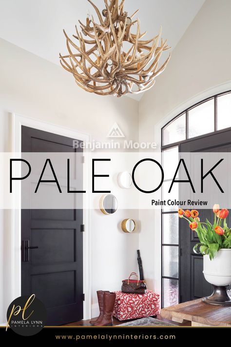 Pale Oak Walls Chantilly Lace Trim, Best Trim Color With Pale Oak, Neutral Foyer Paint Color, Pale Oak Bathroom Master Bath, Pale Oak And White Dove Benjamin Moore, Pale Oak Walls With Black Doors, Pale Oak Walls Living Room, Pale Oak Behr Paint, Pale Oak With Chantilly Lace Trim