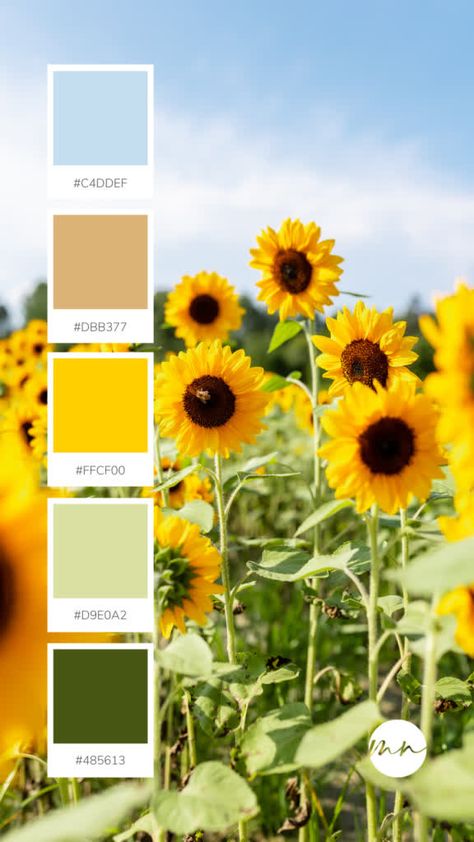 Sage Green And Sunflower Bedroom, Yellow Green Blue Color Palette Living Rooms, Sunflower Colors Palette, Yellow And Sage Color Palettes, Green Summer Color Palette, Yellow And Brown Color Scheme, Blue Yellow Pallette, Yellow Room Palette, Spring Green Color Scheme