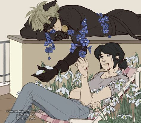 Hanakai Disease, Hanaki Disease Art, Hanahaki Disease Aesthetic, Hanaki Disease, Flower Disease, Hanahaki Disease Art, Miraculous Ladybug Fanfiction, May Day, Super Cat