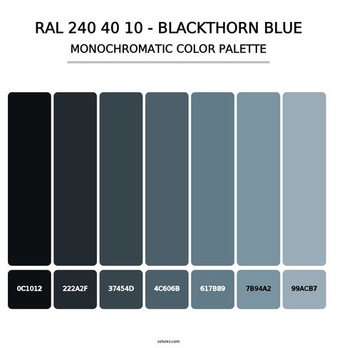 RAL 240 40 10 - Blackthorn Blue color palettes Blue Complementary Color, Bedroom Palette, Draw A Hexagon, Blue Color Palettes, Pantone Color Guide, Color Generator, Analogous Color Scheme, Rgb Color Codes, Split Complementary Colors