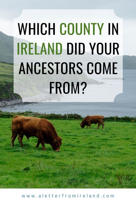 Genealogy Ireland, Genealogy Templates, Family History Projects, Irish Genealogy, Irish Ancestry, Coast Of Ireland, Genealogy Help, Genealogy Websites, Ancestry Family Tree