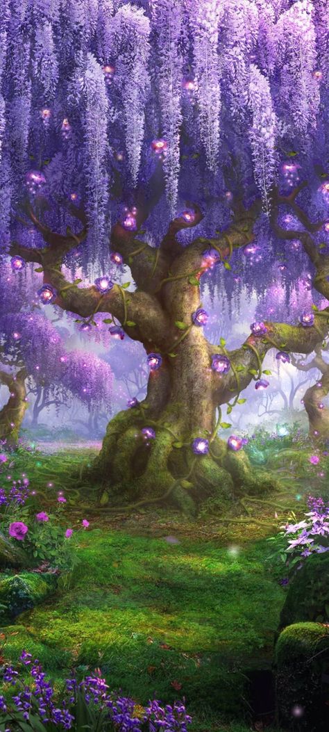 The Cursed Heart - Fae Forest Fae Forest, Enchanted Tree, Fairy Tale Forest, Forest Drawing, Fantasy Tree, Magical Tree, Forest Background, Mystical Forest, Magic Forest