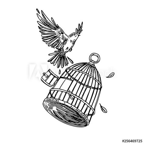 Bird Flying Out Of Cage Drawing, Bird In Cage Illustration, Bird Cage Drawing Sketches, Bird Breaking Out Of Cage Tattoo, Bird Flying From Cage, Bird Flying Out Of Cage, Bird Cage Illustration, Cage Sketch, Cage Illustration