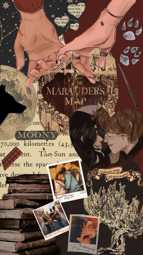 #wallpaper #wolfstar #themarauders Remus And Sirius, Marauders Fan Art, Funny Harry Potter Jokes, Pretty Wallpapers Tumblr, Harry Potter Images, Hogwarts Aesthetic, Alone Photography, All The Young Dudes, Beautiful Collage