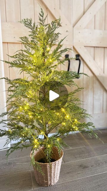 Jesse Coulter | TX Blogger on Instagram: "There’s a reason this Christmas tree from @walmart has gone viral🎄It’s stunning! Comment “SHOP” and I’ll send you the link. 

Comes in this 4ft size ($60), 7.5ft ($179) and 9ft ($200). If it says it’s sold out…keep coming back because it randomly comes back in stock!

@mytexashouse #christmasdecor #christmastree #ltkhome #thecoulterhome https://liketk.it/4RLmx" Viral Walmart Christmas Tree, Table Top Christmas Tree Ideas, Walmart Christmas Tree, Walmart Christmas Trees, Walmart Christmas, Christmas Tree Crafts, Cypress Trees, Woven Basket, Tree Crafts