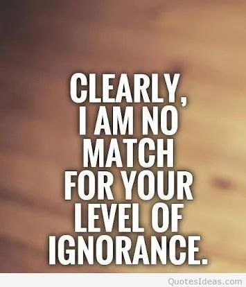 Clearly, I am no match for your level of ignorance. Arguing Quotes, Keto Quote, Fool Quotes, Being Ignored Quotes, Funny Quotes Sarcasm, Sassy Quotes, Sarcasm Humor, Best Picture, E Card